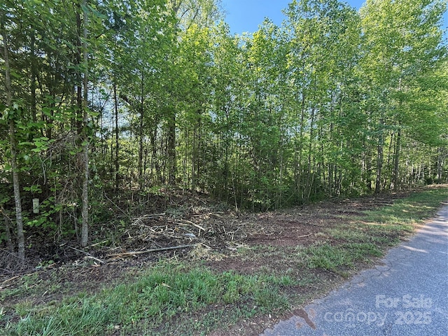 LOT248 Riley Dr Unit 248, Taylorsville, NC 28681 - photo 2