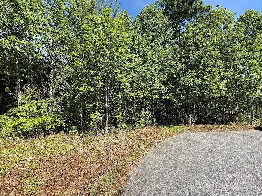 LOT263 Riley Dr Unit 263, Taylorsville, NC 28681 - photo 2