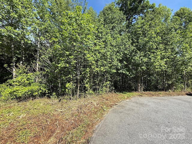 LOT263 Riley Dr Unit 263, Taylorsville, NC 28681 - photo 2