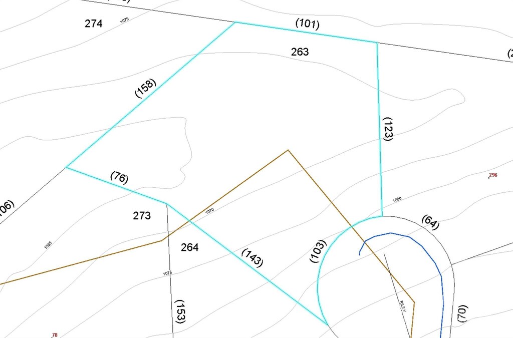 LOT263 Riley Dr Unit 263, Taylorsville, NC 28681 - photo 3