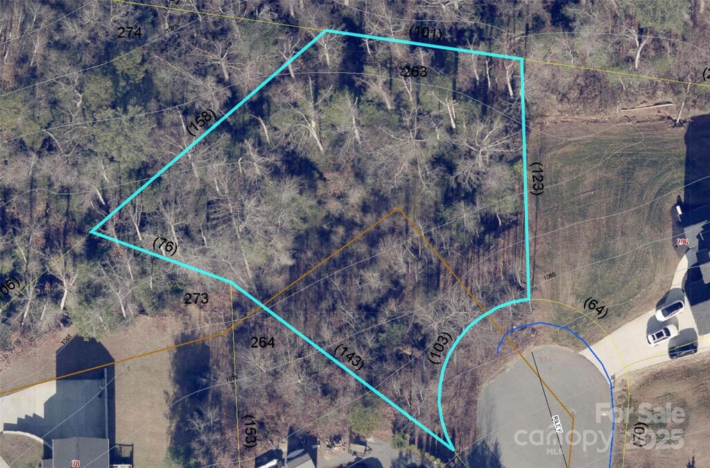 LOT263 Riley Dr Unit 263, Taylorsville, NC 28681 - photo 4