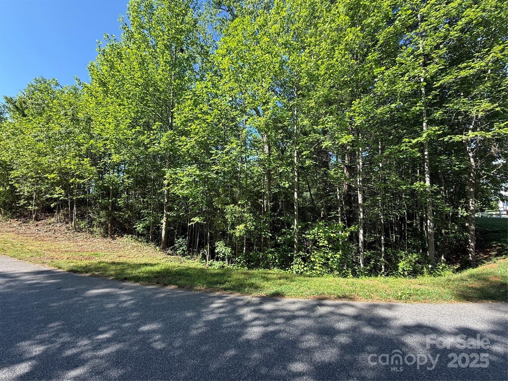 LOT280 Whitman Ct Unit 280, Taylorsville, NC 28681