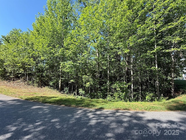 LOT280 Whitman Ct Unit 280, Taylorsville, NC 28681