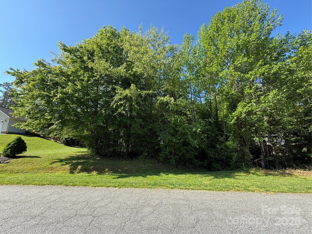 LOT47 Wittenburg Springs Dr Unit 047, Taylorsville, NC 28681 - photo 2