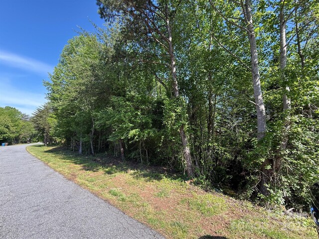 LOT19 Wittenburg Springs Dr Unit 019, Taylorsville, NC 28681 - photo 2