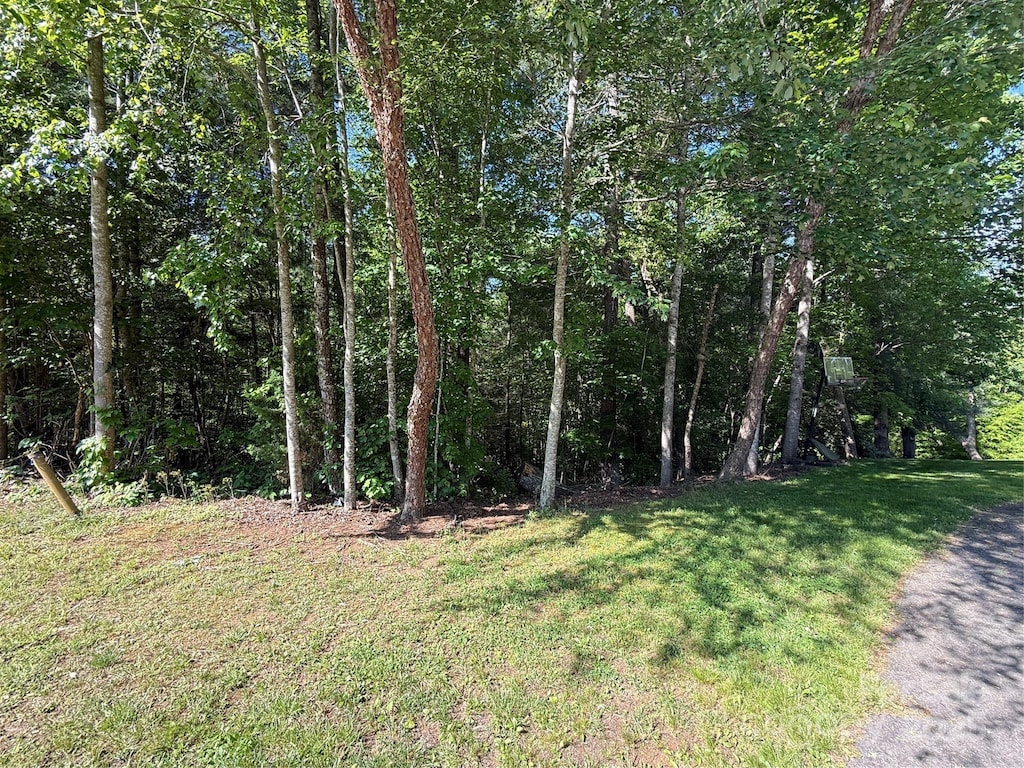 LOT88 Kilmer Ct Unit 88, Taylorsville, NC 28681 - photo 2