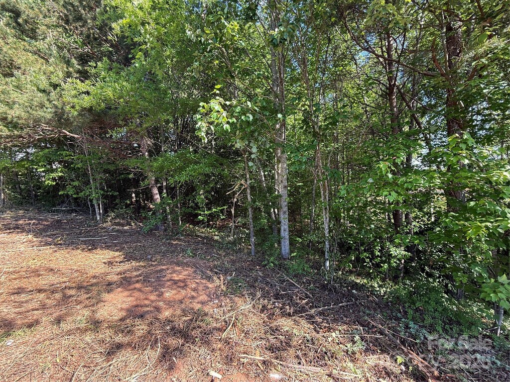 LOT12 Wittenburg Springs Dr Unit 012, Taylorsville, NC 28681 - photo 2