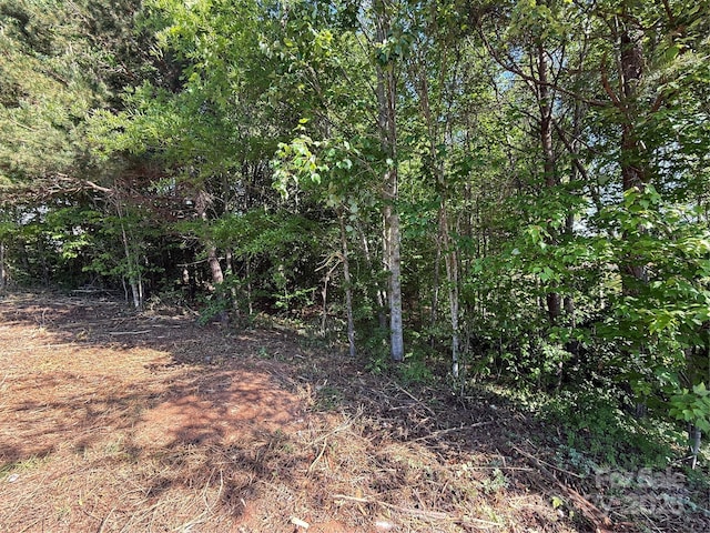 LOT12 Wittenburg Springs Dr Unit 012, Taylorsville, NC 28681 - photo 2