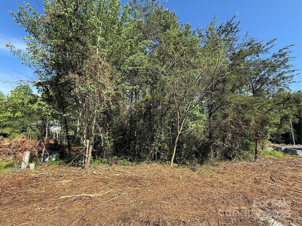 LOT29 Wittenburg Springs Dr Unit 029, Taylorsville, NC 28681 - photo 2