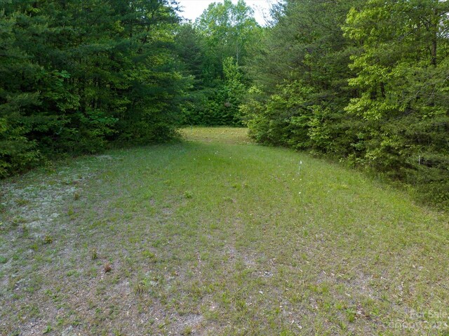 899 W Mills St, Columbus, NC 28722 - photo 13