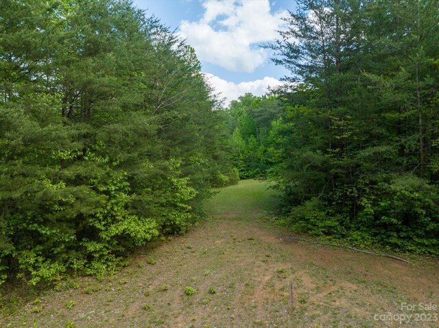 899 W Mills St, Columbus, NC 28722 - photo 15