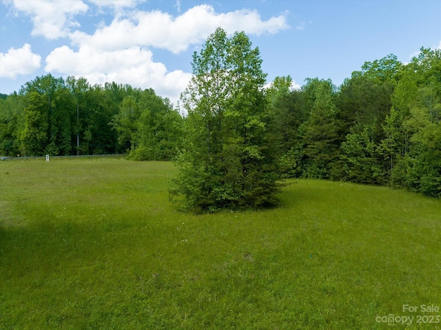 899 W Mills St, Columbus, NC 28722 - photo 16
