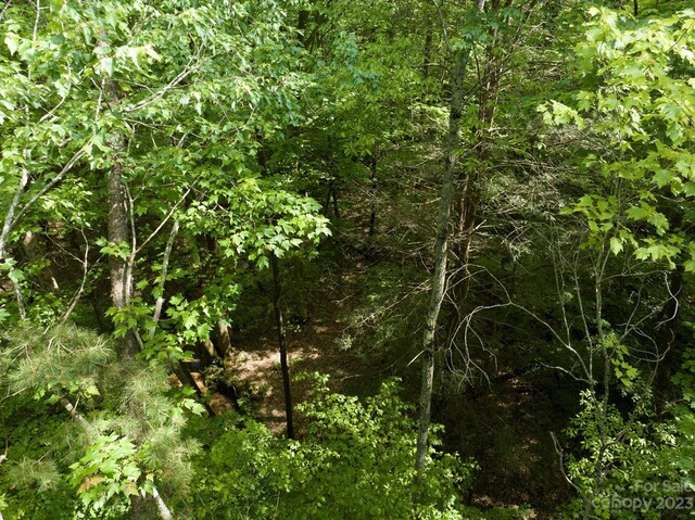 899 W Mills St, Columbus, NC 28722 - photo 18