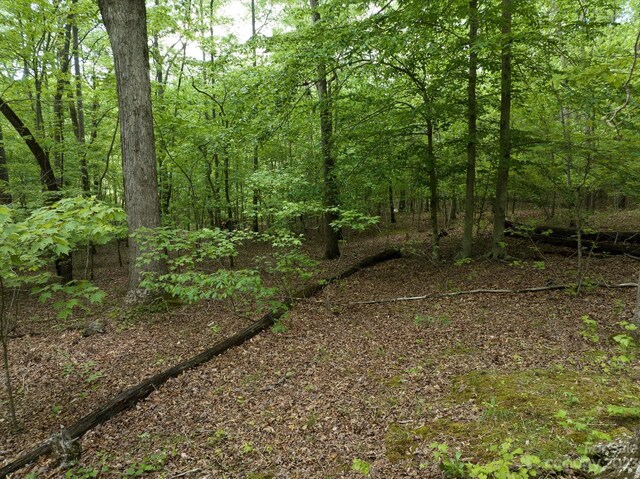 899 W Mills St, Columbus, NC 28722 - photo 21