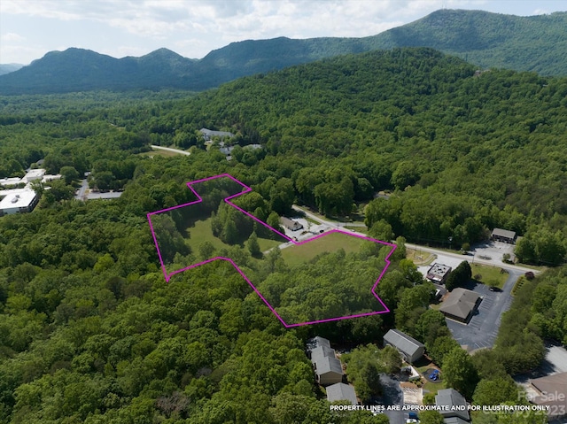 899 W Mills St, Columbus, NC 28722 - photo 2