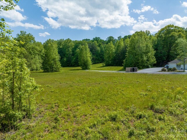 899 W Mills St, Columbus, NC 28722 - photo 8