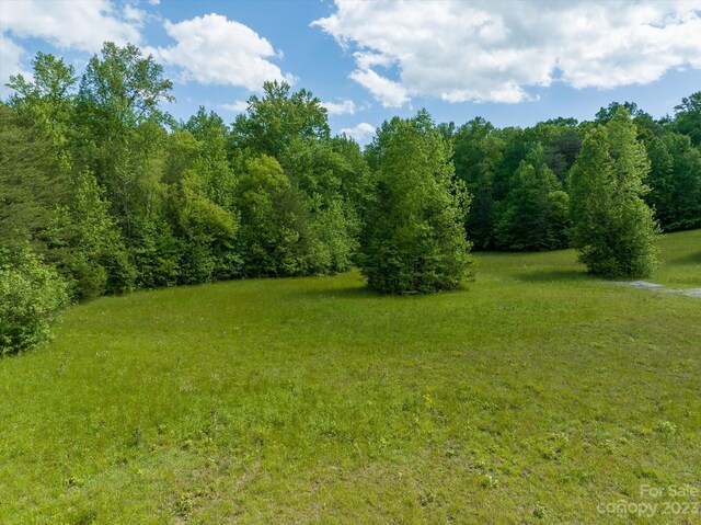 899 W Mills St, Columbus, NC 28722 - photo 9