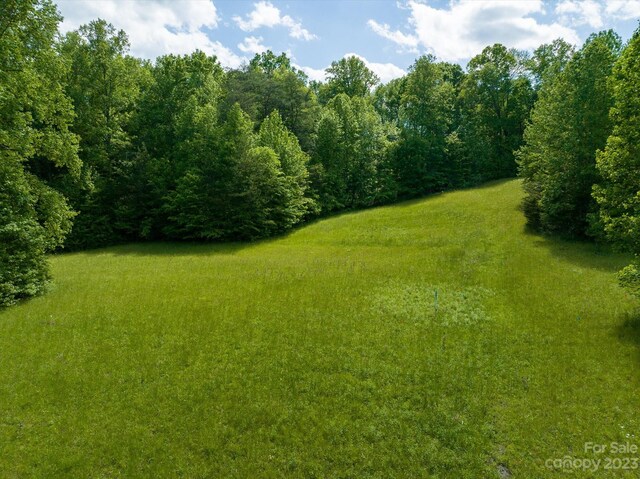 899 W Mills St, Columbus, NC 28722 - photo 10