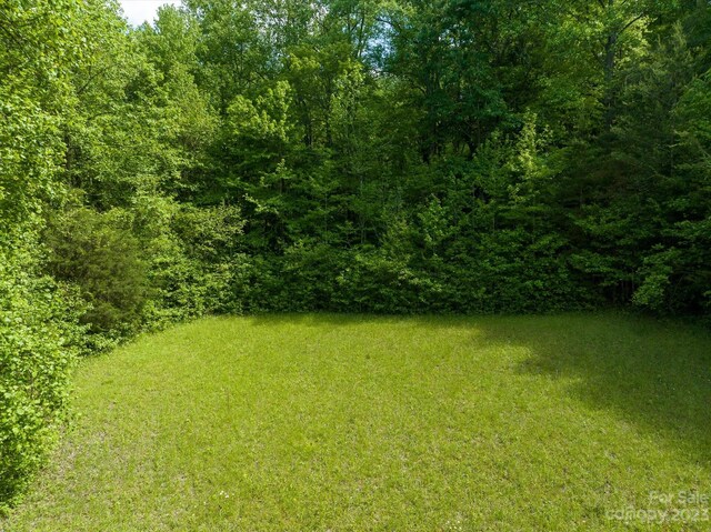 899 W Mills St, Columbus, NC 28722 - photo 11