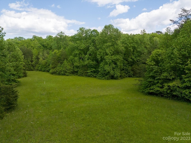 899 W Mills St, Columbus, NC 28722 - photo 12