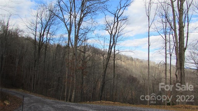 00 Falling Water Dr Unit 15, Burnsville NC, 28714 land for sale