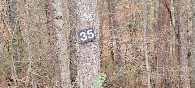 35 Settlers Trl Unit 35, Mars Hill NC, 28754 land for sale