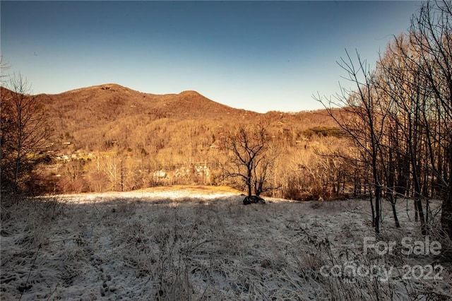 Listing photo 3 for 00000 Soco Rd Unit 7, Maggie Valley NC 28751