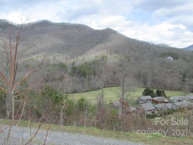 Listing photo 2 for LOT4 Wild Top Trl, Cullowhee NC 28723