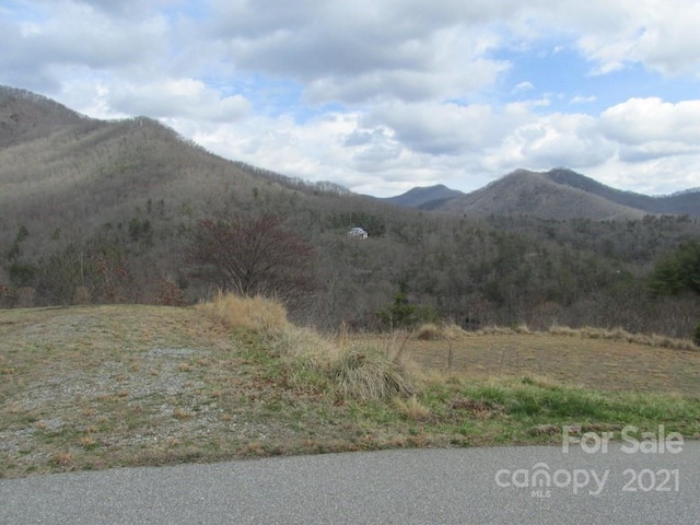 Listing photo 3 for LOT4 Wild Top Trl, Cullowhee NC 28723