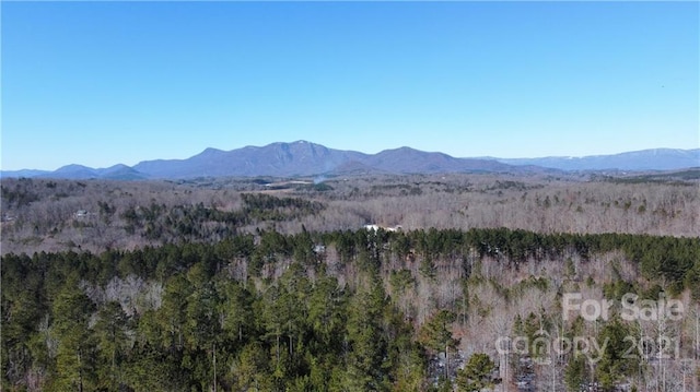 Listing photo 3 for 0 Hugh Champion Rd Unit 1-913-26-28-61, Tryon NC 28782