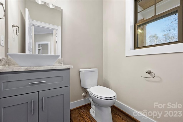 bathroom with toilet, hardwood / wood-style flooring, and vanity