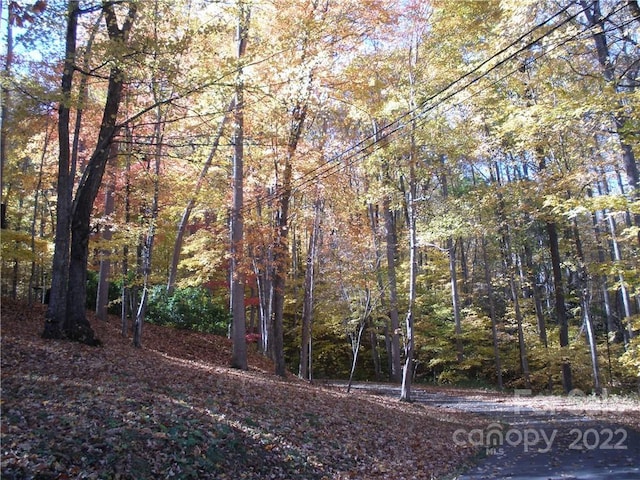 LOT13 Dogwood Dr, Maggie Valley NC, 28751 land for sale