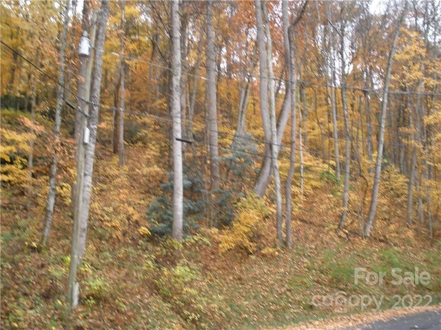 Listing photo 2 for LOT13 Dogwood Dr, Maggie Valley NC 28751