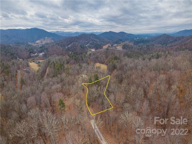 Listing photo 2 for 189 Sandys Home Pl Lot 7B, Mars Hill NC 28754