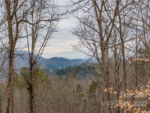 Listing photo 3 for 189 Sandys Home Pl Lot 7B, Mars Hill NC 28754