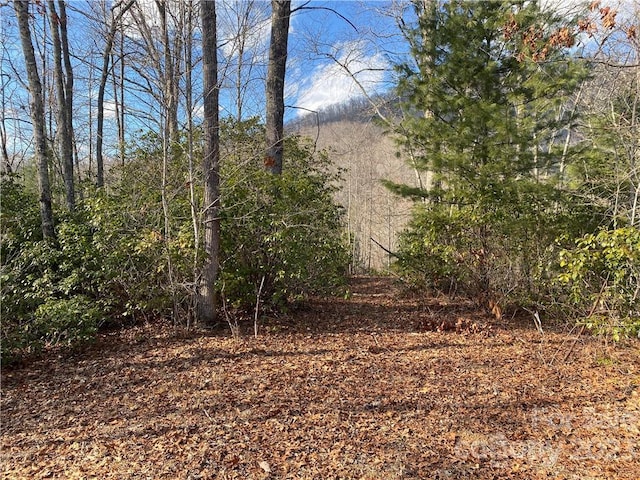 0 Garnet Rd Unit 93, Sylva NC, 28779 land for sale