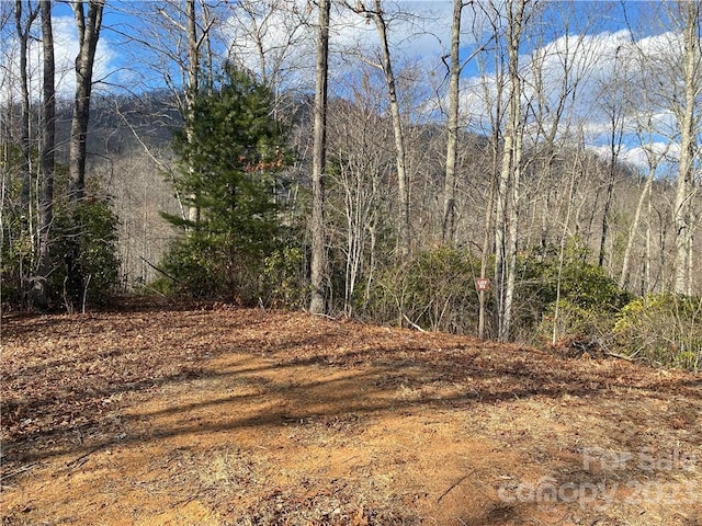 Listing photo 3 for 0 Garnet Rd Unit 93, Sylva NC 28779