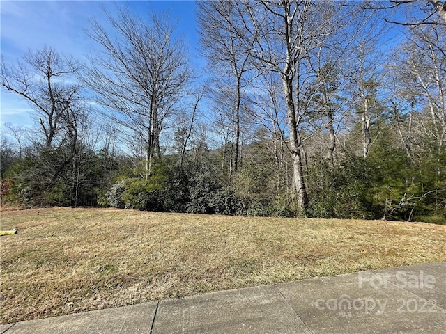 SH11 Springhouse Trl, Brevard NC, 28712 land for sale