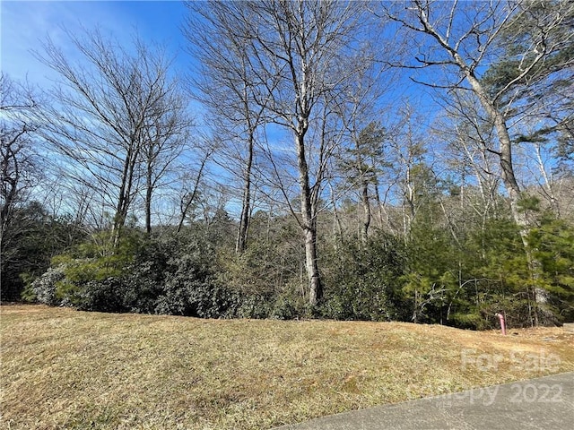 Listing photo 2 for SH11 Springhouse Trl, Brevard NC 28712