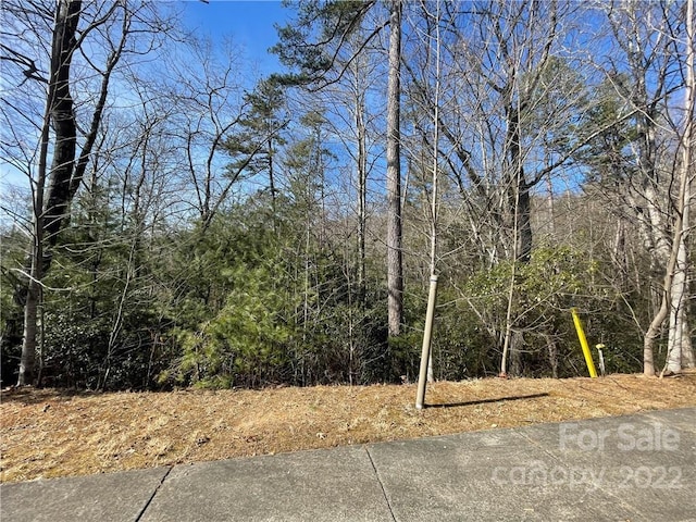 Listing photo 3 for SH11 Springhouse Trl, Brevard NC 28712