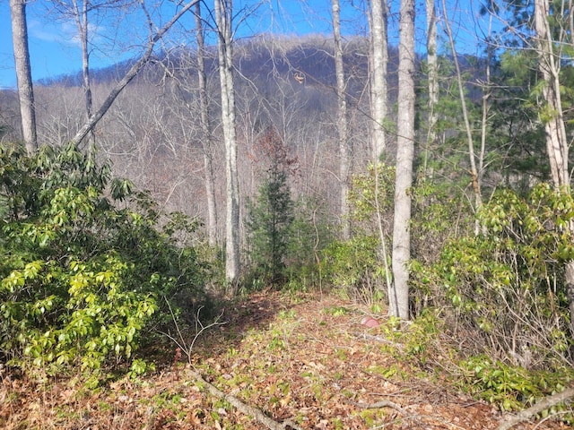 0 Garnet Rd Unit 94, Sylva NC, 28779 land for sale