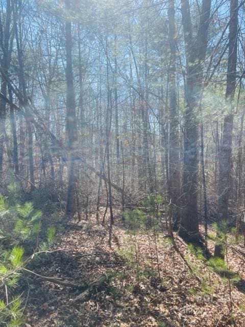 0 R And S Cir, Hickory NC, 28601 land for sale