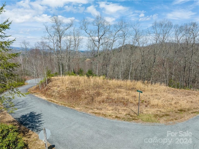 Listing photo 3 for 32 Foxgrape Ln, Brevard NC 28712