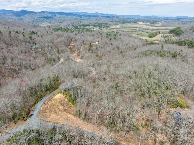 32 Foxgrape Ln, Brevard NC, 28712 land for sale