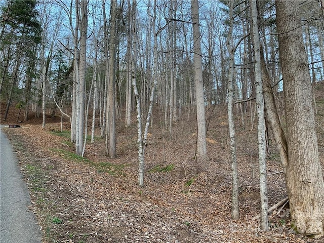 00 Satellite Mountain Rd, Burnsville NC, 28714 land for sale