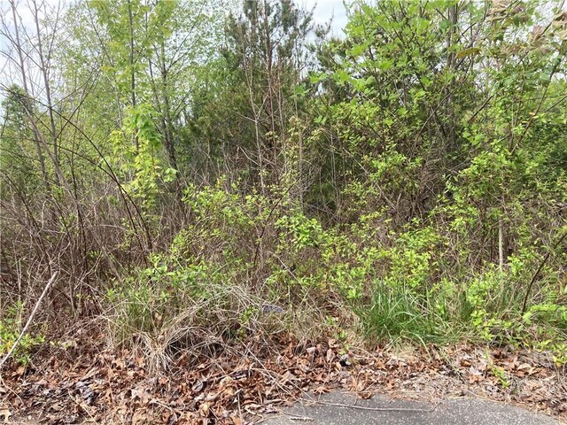 Listing photo 3 for V/L Horseshoe Trl Unit 36, Connelly Springs NC 28612