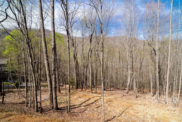 808 Stoney Stream Ln, Arden, NC 28704 - photo 4
