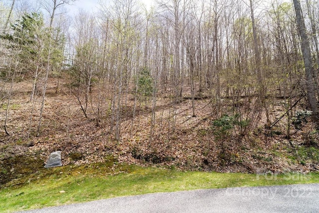 808 Stoney Stream Ln, Arden, NC 28704 - photo 9