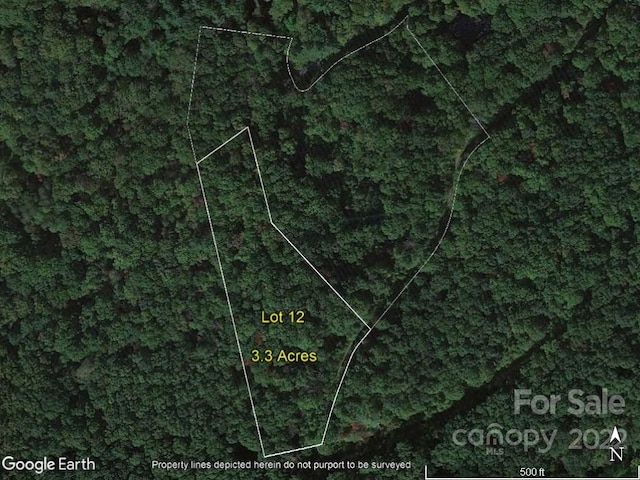 99999 Bartlett Mountain Rd Unit 12, Asheville NC, 28805 land for sale