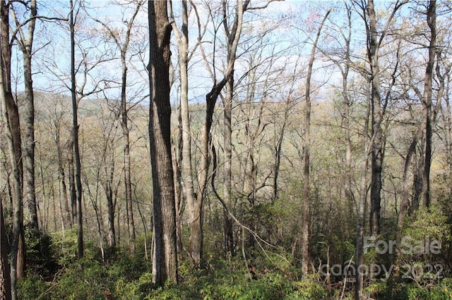 Listing photo 3 for TBD Oak Ridge Rd Unit 17, Rosman NC 28772